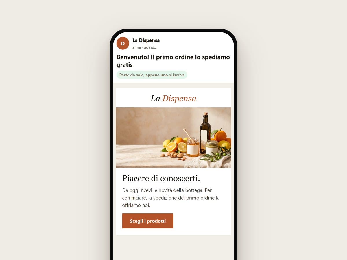 Email automatiche ai clienti: partenza